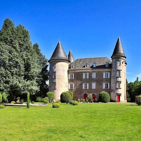 Camping Du Chateau De Leychoisier - Camping Haute-Vienne - Afbeelding N°5