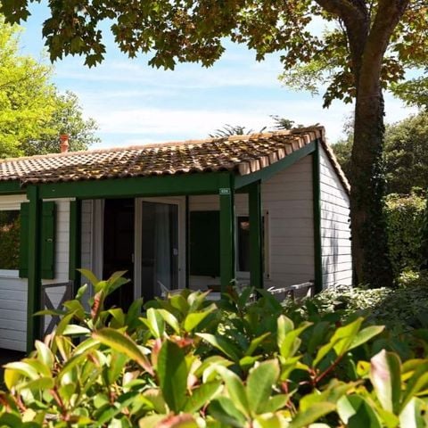 Chalet 5 personen - MATTHIOLE
