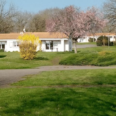 Domaine du Lambon - Camping Deux-Sèvres - Afbeelding N°6