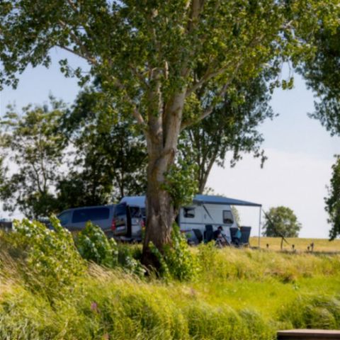 Kampeerplaats - Vissen