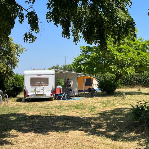 Camping Les Bergerolles - Camping Cher - Afbeelding N°2