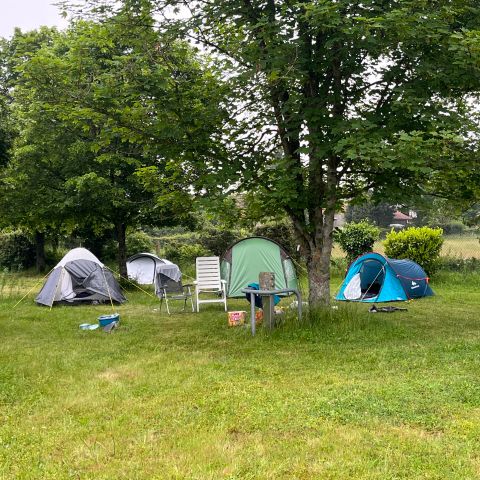 Camping Les Bergerolles - Camping Cher - Afbeelding N°3