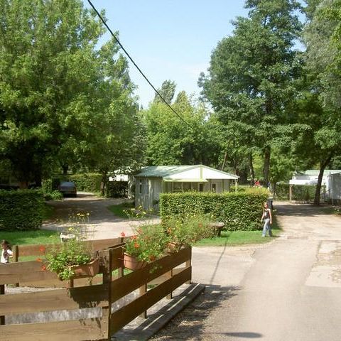 Camping La Marjorie - Camping Jura - Afbeelding N°6