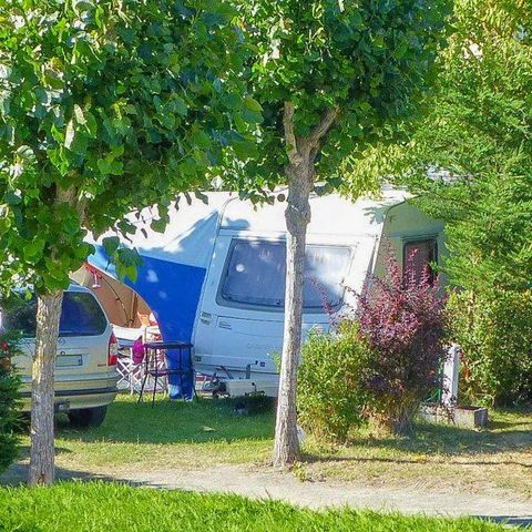 Camping La Buzelière - Camping Vendée - Afbeelding N°3