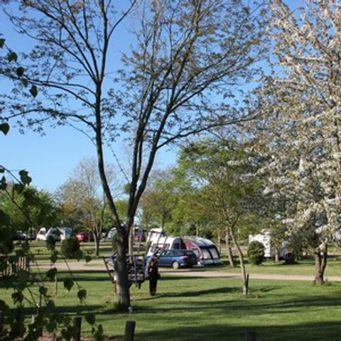 Camping De Courte Vallée - Camping Deux-Sèvres - Afbeelding N°6