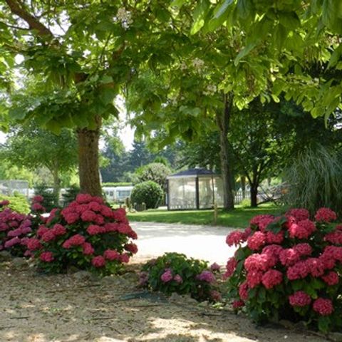 Camping De Courte Vallée - Camping Deux-Sèvres - Afbeelding N°2