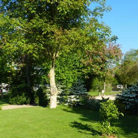 Camping De Courte Vallée - Camping Deux-Sèvres - Afbeelding N°5
