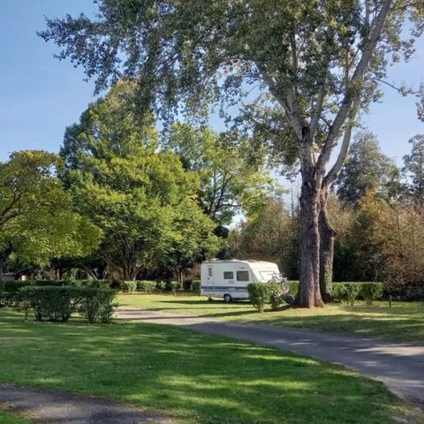 Camping Le Sabot - Only Camp - Camping Indre-et-Loire - Afbeelding N°2