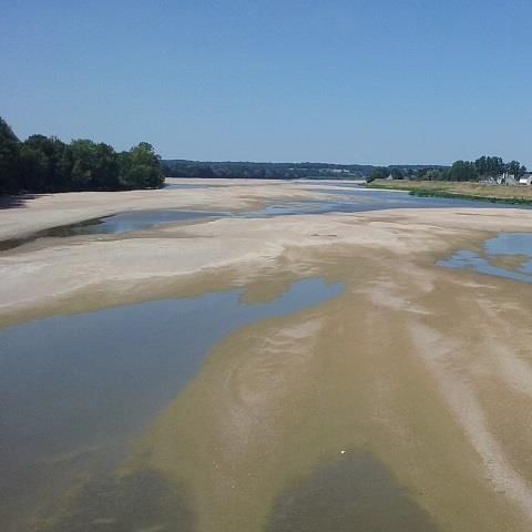 Camping Au Bord de Loire - Camping Maine-et-Loire - Afbeelding N°4