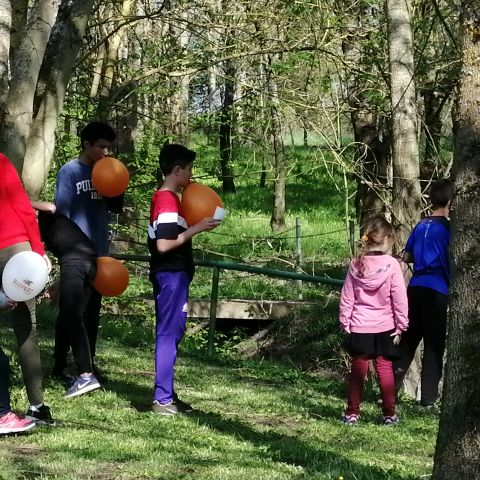 Camping Au Bord de Loire - Camping Maine-et-Loire - Afbeelding N°6