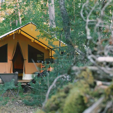  Le camping des Pins-Only Camp - Camping Cher - Afbeelding N°5