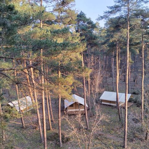  Le camping des Pins-Only Camp - Camping Cher - Afbeelding N°4