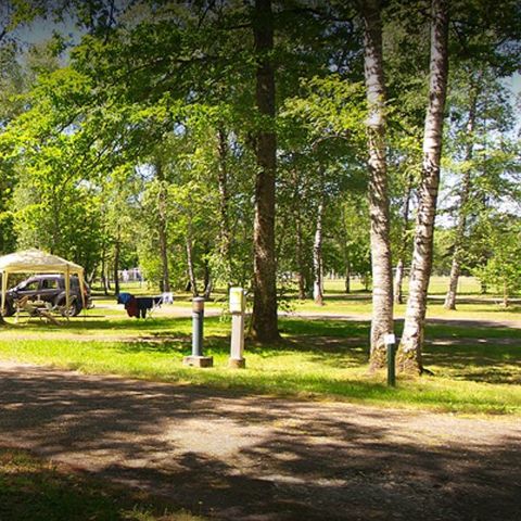  Le camping des Pins-Only Camp - Camping Cher - Afbeelding N°3