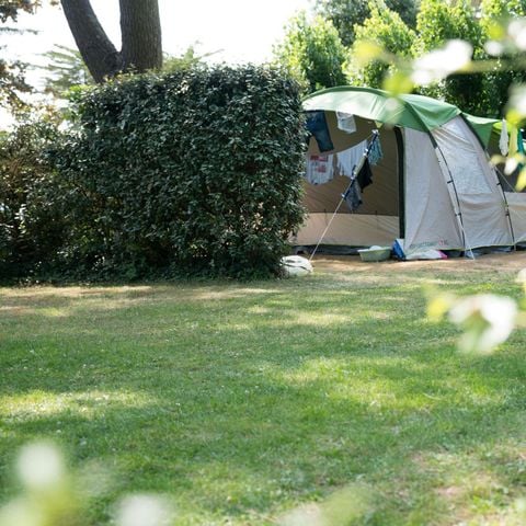 STAANPLAATS - voor Caravan of tent van 80M² inclusief 2 personen, elektriciteit en een voertuig