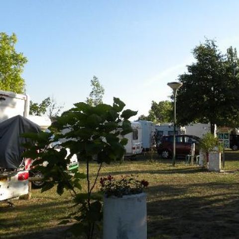 CAMPING de SOLOGNE - Camping Loir-et-Cher - Afbeelding N°6