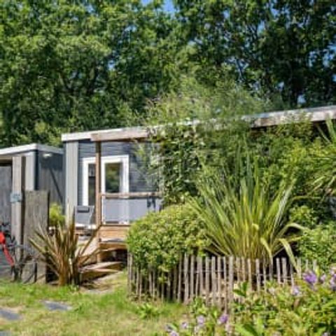 Stacaravan 4 personen - Huisje COLIBRI 4p 2bed PREMIUM