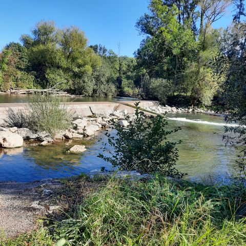 Camping Le Chapeau Chinois - Camping Haute-Saône - Afbeelding N°5