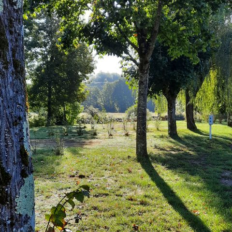 Camping Le Chapeau Chinois - Camping Haute-Saône - Afbeelding N°6