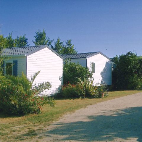 Camping La Ferme Fleurie - Camping Morbihan - Afbeelding N°4