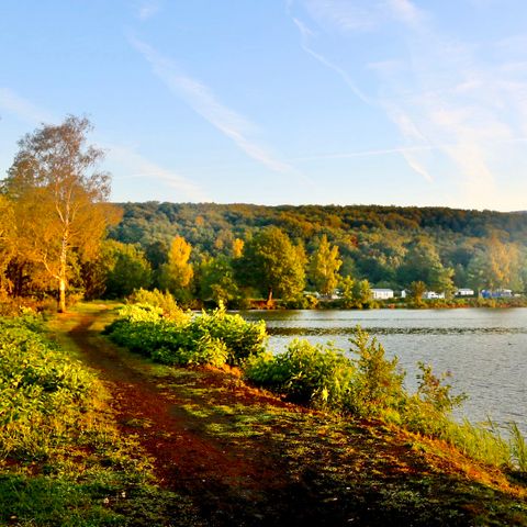 Camping Des Ballastières - Camping Haute-Saône - Afbeelding N°4