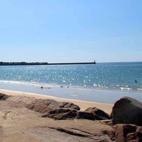 VVF Villages - La Fontaine - Larmor Plage - Camping Morbihan - Afbeelding N°2