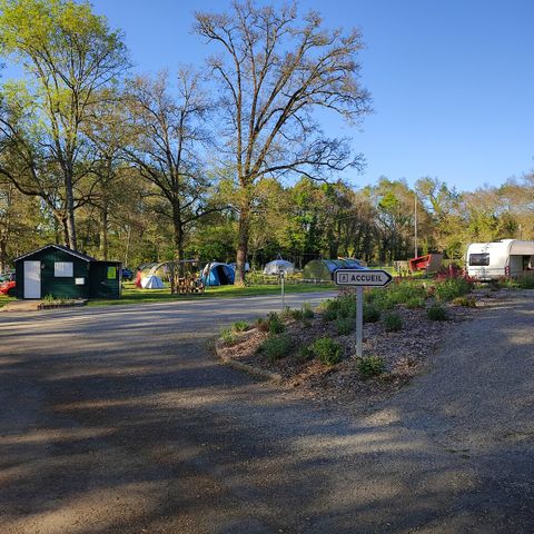 Camping de L'ile Aux Pies - Camping Ille-et-Vilaine - Afbeelding N°3