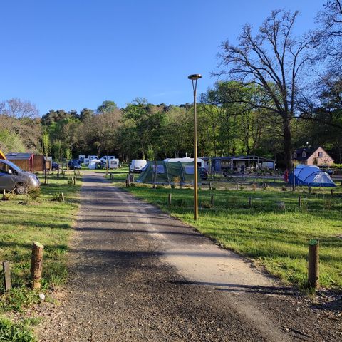 Camping de L'ile Aux Pies - Camping Ille-et-Vilaine - Afbeelding N°5