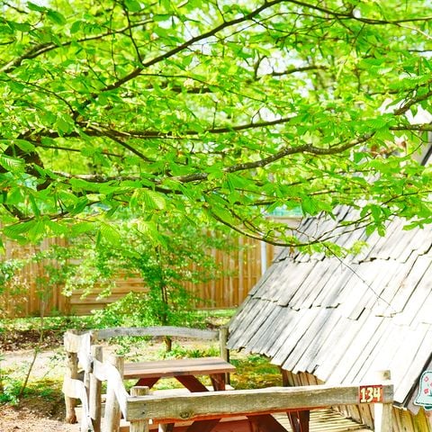 UNIEKE ACCOMMODATIE 3 personen - Cabane Sorcière 3 pers