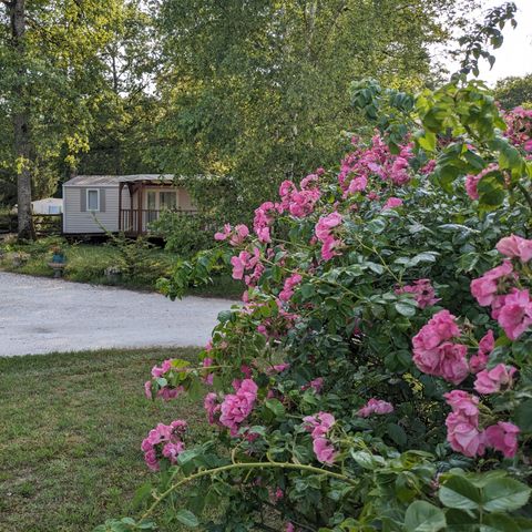 Camping Le Bois Guillaume - Camping Yonne - Afbeelding N°6