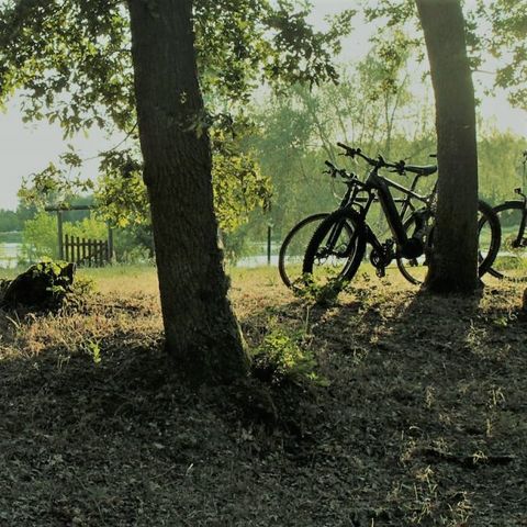 Camping Le Port - Camping Loiret - Afbeelding N°4