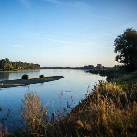Camping Le Port - Camping Loiret - Afbeelding N°2