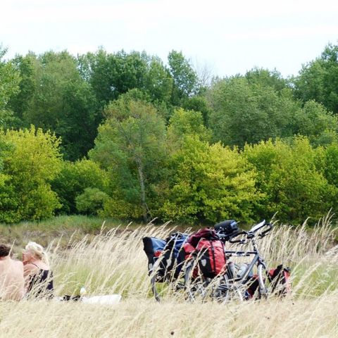Camping Le Port - Camping Loiret - Afbeelding N°5