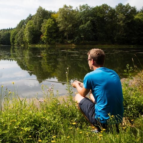 Camping Domaine des Messires - Camping Vogezen - Afbeelding N°3