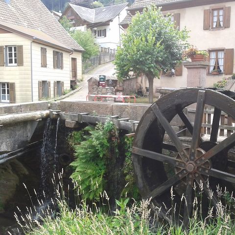 Camping Municipal Les Verts Bois - Camping Haut-Rhin - Afbeelding N°6