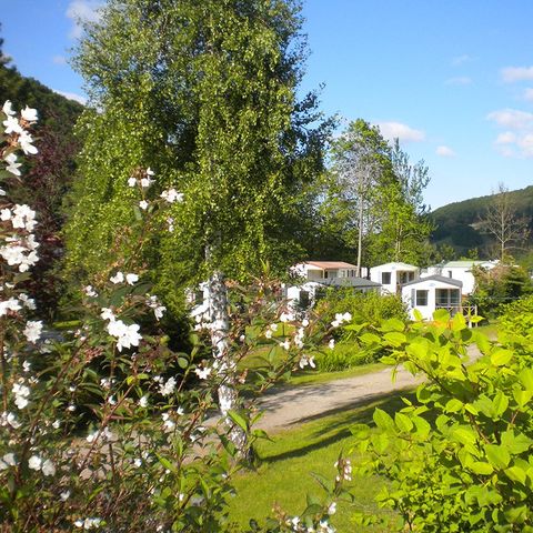 Camping Les Reflets Du Val D'argent - Camping Haut-Rhin - Afbeelding N°3