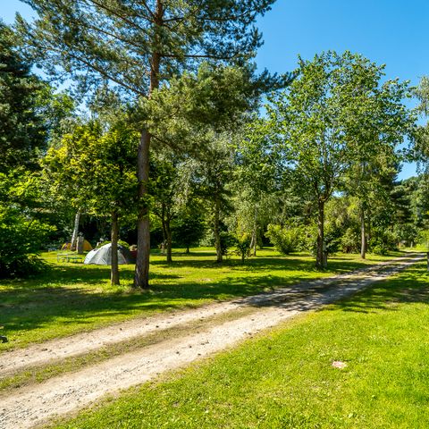 Camping Les Reflets Du Val D'argent - Camping Haut-Rhin - Afbeelding N°5