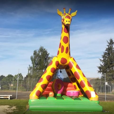 Camping Domaine Les Peupliers - Camping Ille-et-Vilaine - Afbeelding N°3