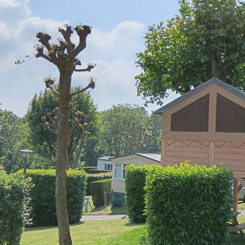 Accommodatie 2 personen - Natuurtent op palen Standaard 7,2 m² - zonder sanitair