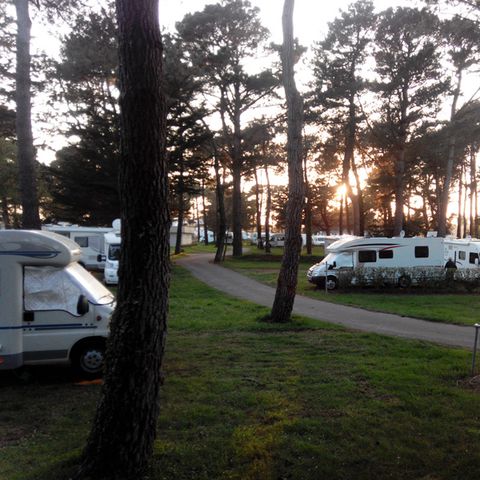 Camping Saint Michel - Camping Côtes-d'Armor - Afbeelding N°6