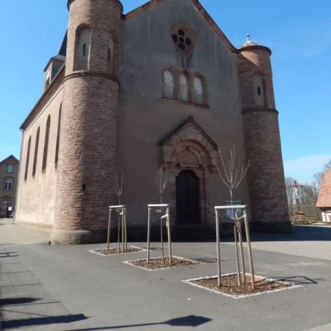 Camping Ramstein Plage - Moselle - Afbeelding N°5