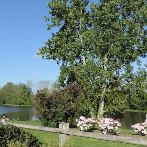 Camping L'Escapade - Camping Calvados - Afbeelding N°5