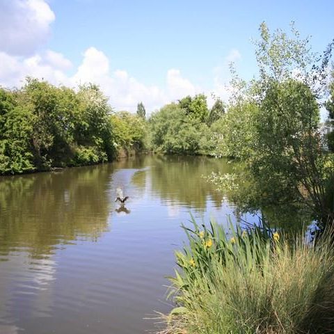 Camping Mirabel Les Prairies de la Mer - Camping Calvados - Afbeelding N°5