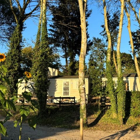 Stacaravan 1 persoon - 02-Mobil-Home Mitoyen Standard 17m2 (1bed - 1 pers.) + TV + Airconditioning - prijs voor 2 personen