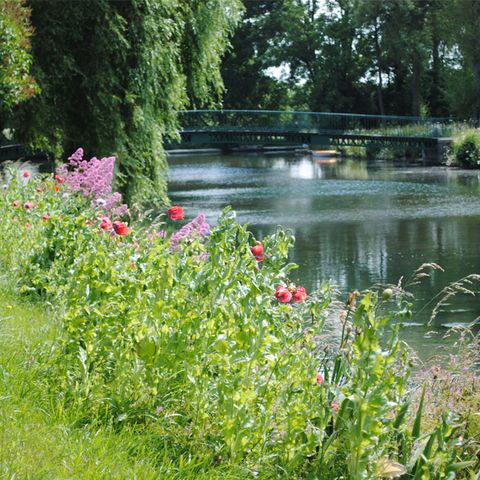 Camping La Sinope - Camping Manche - Afbeelding N°5