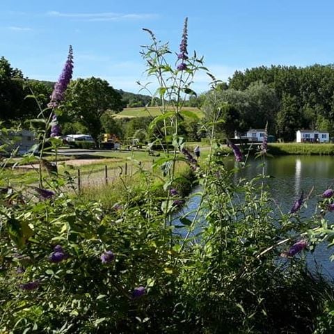 STAANPLAATS - Kale standplaats voor tent, caravan of camper (met elektriciteit)