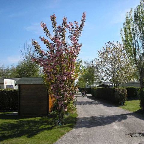 Camping des Crocs - Camping Somme - Afbeelding N°2
