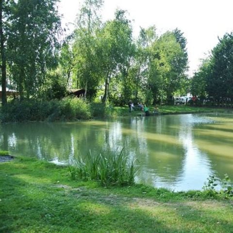 Camping les Alouettes et l'Image - Camping Noord - Afbeelding N°5