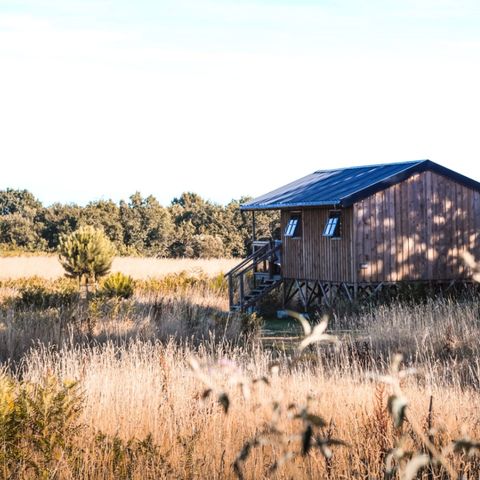 UNIEKE ACCOMMODATIE 5 personen - LODGE