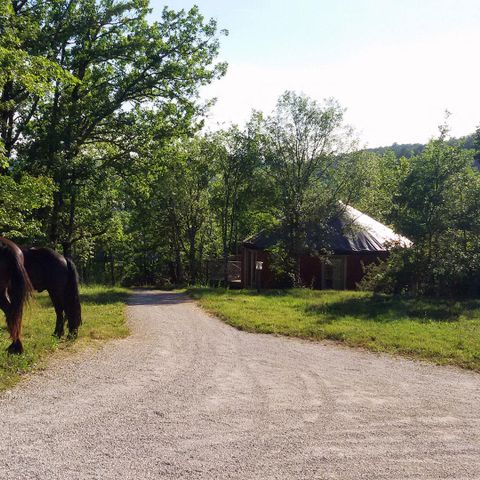 Camping Les Hauts d'Albas - Camping Lot - Afbeelding N°4