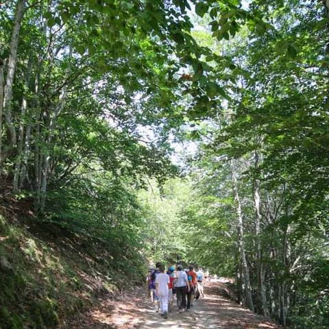 Ushuaïa Villages - Domaine de Ravel - Camping Gard - Afbeelding N°5